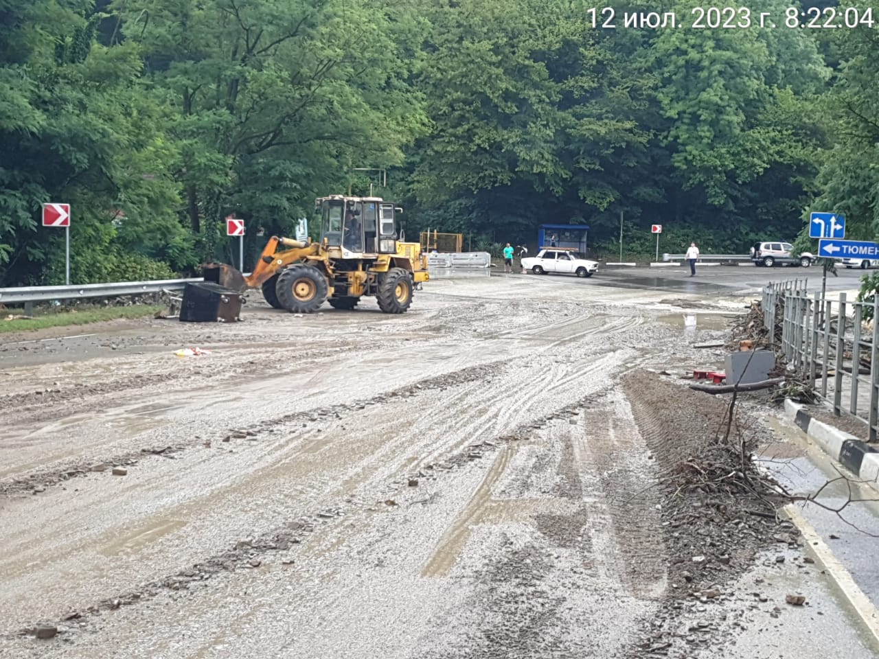 В Туапсинском районе рухнули шесть деревьев